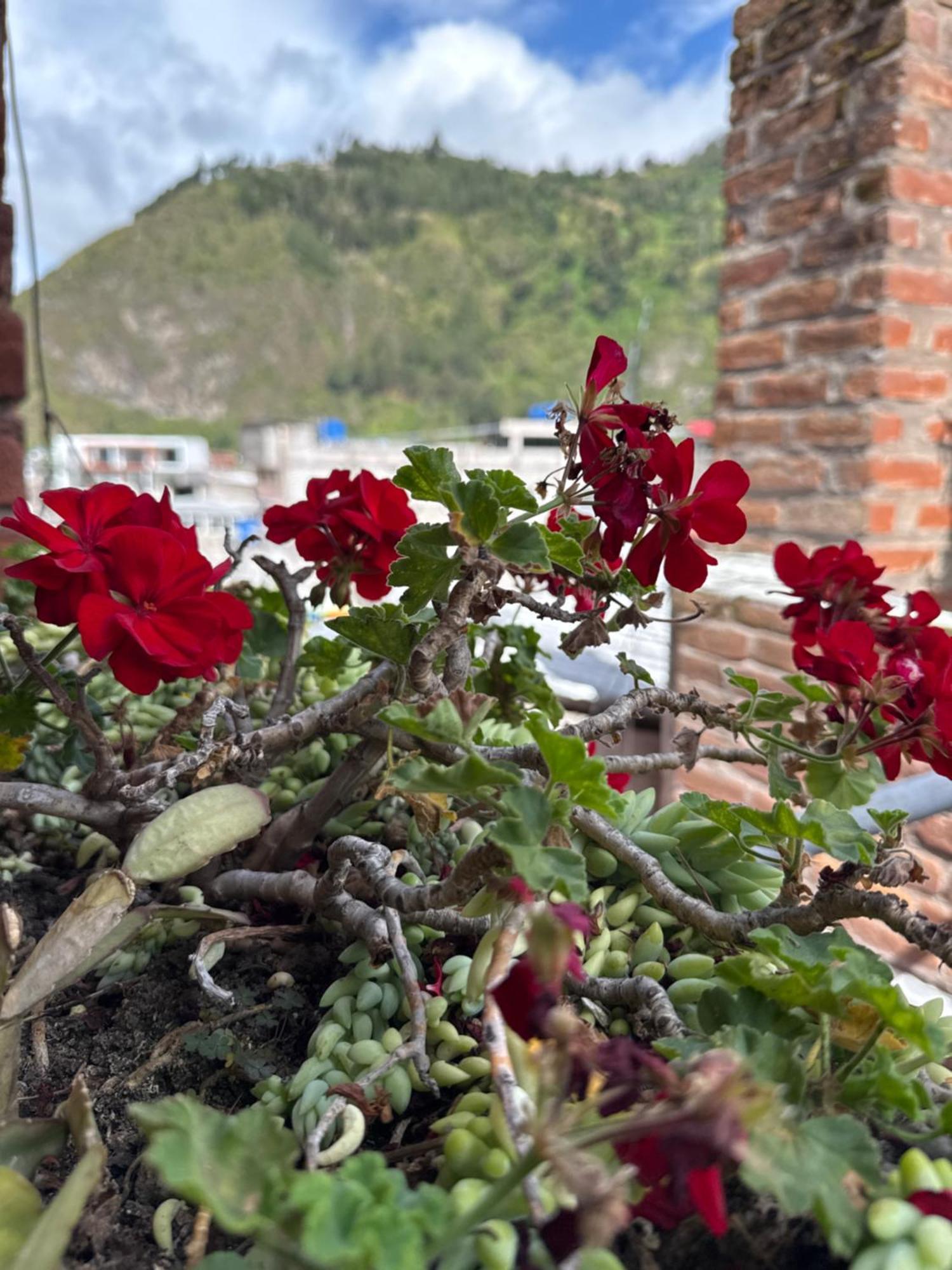 Hotel Donde Ivan Baños Dış mekan fotoğraf