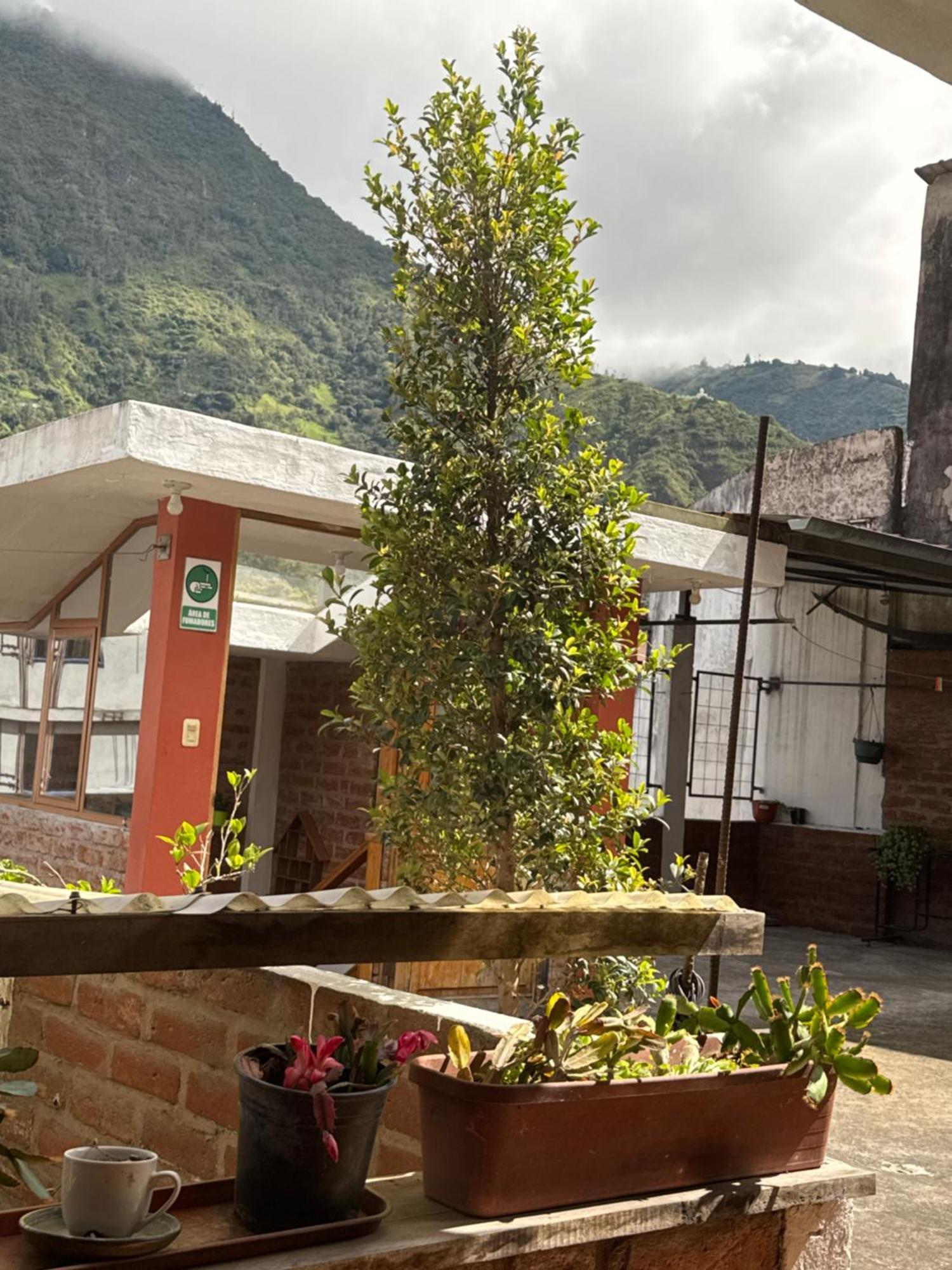 Hotel Donde Ivan Baños Dış mekan fotoğraf